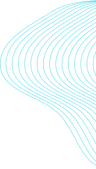 company-transparency-shape-1-1-rtl